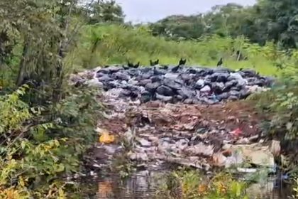 Lixo às margens do Lago Anamã representa risco de conatminação (Imagem: WhatsApp/Reprodução)