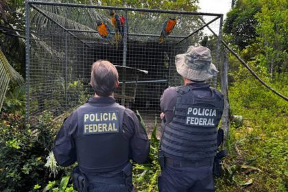 Agentes federais observam aves em cativeiro: operação combate tráfico de animais (Foto: PF/Divulgação)