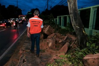 Queda de árvore destrói calçada em Manaus: Justiça manda prefeitura adotar medidas para prevenir desastres naturais (Foto: Valdo Leão/Semcom)