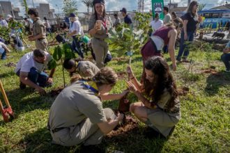 Plantio de mudas em Campo Grande: COP15 define ações para proteger animais (Foto: Rafa Neddermeyer/ABr)