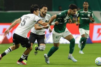 Lance de Palmeiras e Botafogo: time paulista fez o dever de casa (Foto: Cesar Greco/Palmeiras/by Canon)