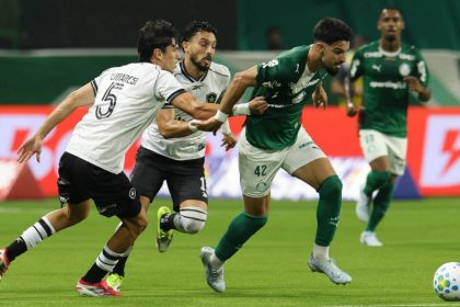 Lance de Palmeiras e Botafogo: time paulista fez o dever de casa (Foto: Cesar Greco/Palmeiras/by Canon)