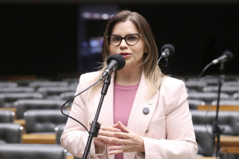 Relatora Clarissa Tércio afirma que mulher tem direito de registrar o parto (Foto: Kayo Magalhães/Agência Câmara)