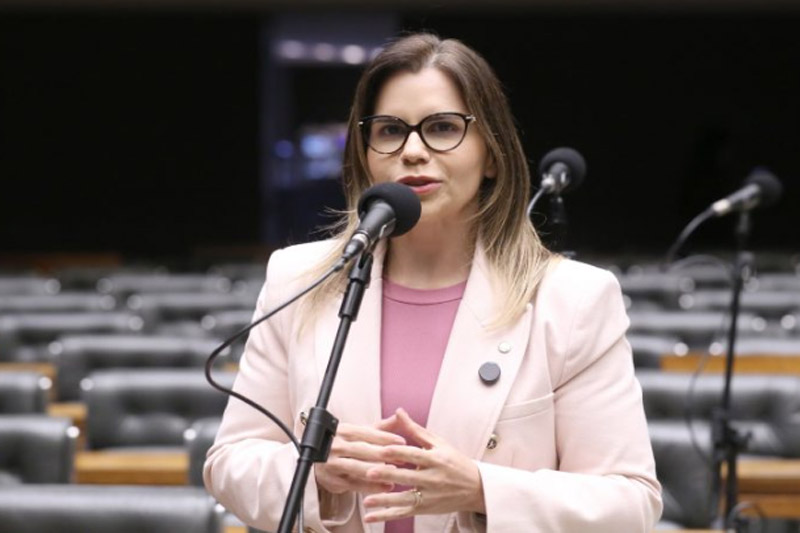 Deputada Clarissa Tércio alega que intenção é garantir proteção social mínima (Foto: Kayo Magalhães/Agência Câmara)