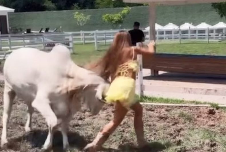 Nicole Bahs escapa de cabeçada da vaca em sua fazenda (Imagem: @eunicolebahls/TikTok/Reprodução)
