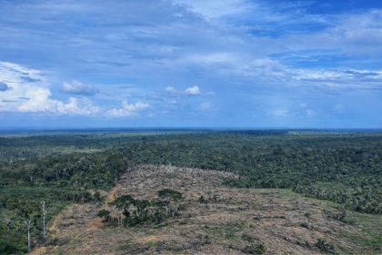 Foi constatado o descumprimento de embargo anterior, com continuidade de atividade agropecuária e criação de gado na área (Foto: Divulgação)