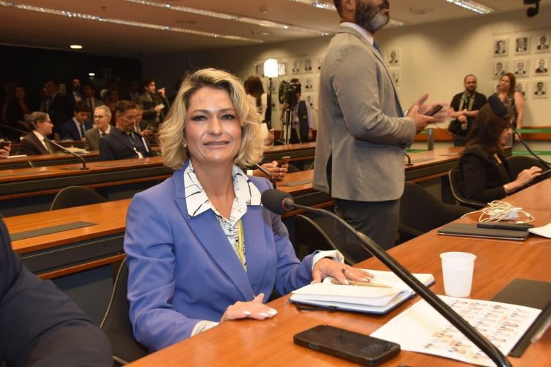 Cristiane Foja, presidente executiva da Abrabe (Foto: Divulgação)