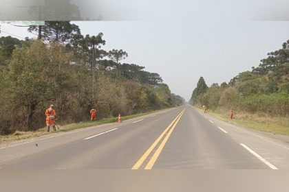 Trecho da BR-153: rodovia da Rota Sertaneja está incluída no Reidi (Foto: Dnit/Divulgação)