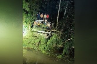 Passageiros aguaradaram resgate na lancha em meio à vegetação (Imagem: WhatsApp/Reprodução)