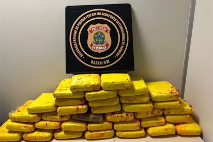 Maconha estava em três malas despachadas para voo com destino a São Paulo (Foto: PF/Divulgação)