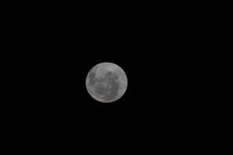 Imagem da Lua enviada pelos astronautas da Artemis II (Foto: Nasa/Divulgação)