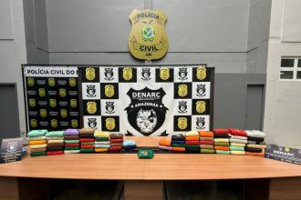 O entorpecente, avaliado em R$ 1,6 milhão, estava escondido em sacolas em uma picape (Foto: Divulgação)