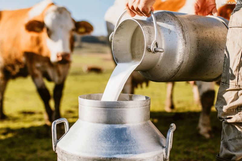 As medidas incluem crédito para ampliação da produção leiteira (Foto: Divulgação)