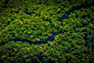 Amazônia