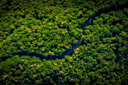 Amazônia