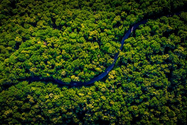 Amazônia