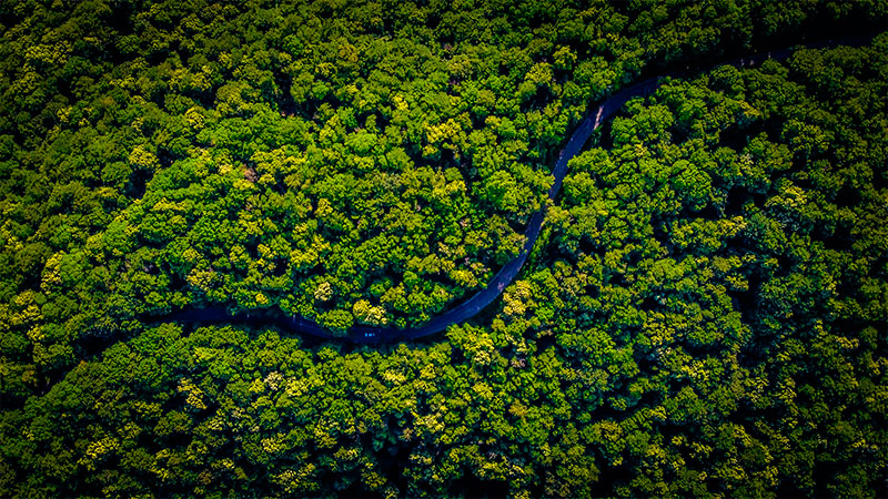 Amazônia