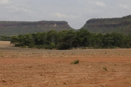 As porções isoladas de vegetação nativa cresceram de 2,7 milhões, em 1986, para 7,1 milhões, em 2023 (Foto: Fernando Frazão/Agência Brasil)