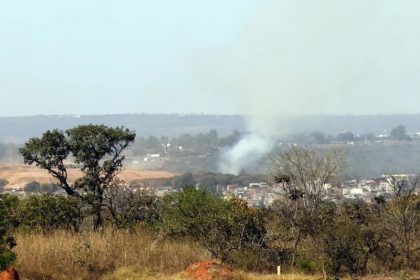 O edital prevê a liberação de R$ 19 milhões a projetos de implantação de áreas arborizadas a fim de combater o calor extremo (Foto: Bruno Peres/Agência Brasil)