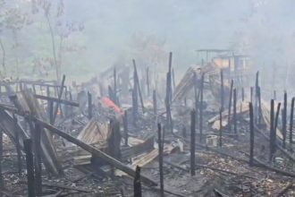 Estacas de madeira queimadas: imagem da destruição causada pelo incêndio (Foto: WhatsApp/Divulgação)