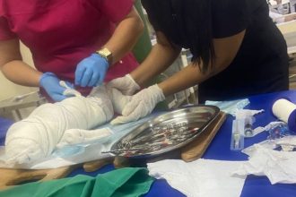 A criança morreu no Hospital Geral de Manacapuru (a 68 quilômetros de Manaus) (Foto: WhatsApp/Reprodução)