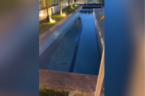 Água da piscina tremeu com efeito do terremoto na Venezuela (IUmagem: WhatsApp/Rerprodução)