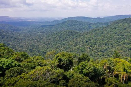 Estudo registra queda no desmatamento na Amazônia (Imagem: TV Brasil/Reprodução)