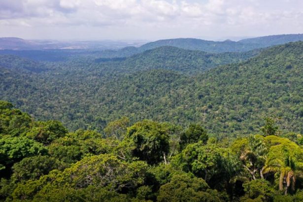Amazônia Legal (Imagem: TV Brasil/Reprodução)