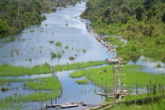 Rio da Floresta Nacional de Balata-Tufari: BNDES vai conceder gestão à iniciativa privada (Foto: ICMBio/Divulgação)