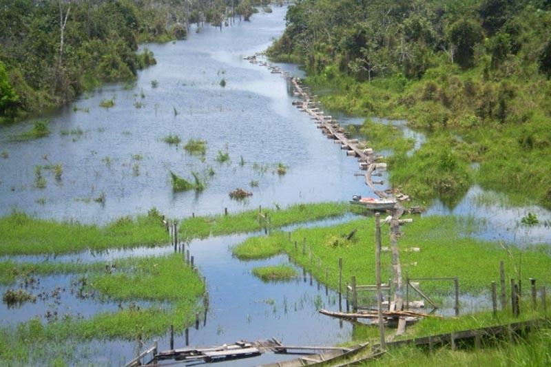 Rio da Floresta Nacional de Balata-Tufari: BNDES vai conceder gestão à iniciativa privada (Foto: ICMBio/Divulgação)