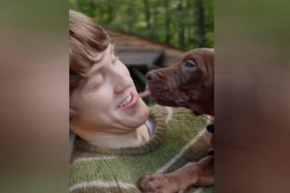 Cão de verdade fará Scooby-Doo em série da Netflix (Imagem: Instagram/Netflix)