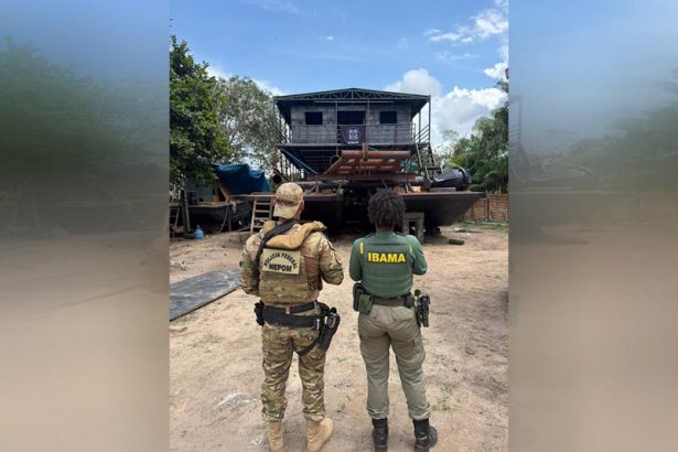 Agentes da PF e do Ibama em operação no estaleiro clandestino (Foto: PF/Divulgação)