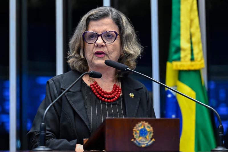 Teresa Leitão é a nova líder do governo no Senado (Foto: Waldemir Barreto/Agência Senado)