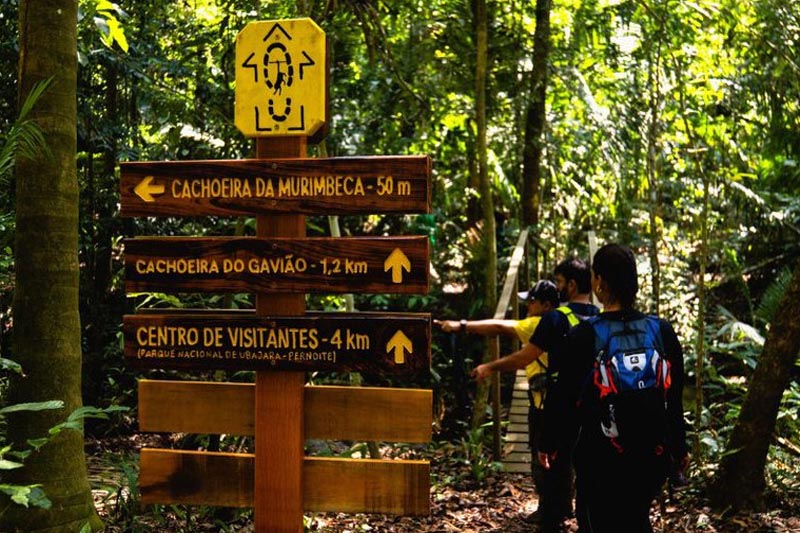Trilha da Ibiapaba tem acesso para formações geológicas com pinturas rupestres do Parque Nacional de Sete Cidades (Foto: João Santos/Rede Nacional de Trilhas)