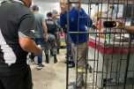 Evilazio Alves da Silva, 60, foi morto com tiro na cabeça em seu mercadinho (Foto: WhatsApp/Reprodução)