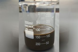 Diesel verde obtido a partir da gordura descartada por restaurantes e indústrias (Foto: Ufam/Divulgação)
