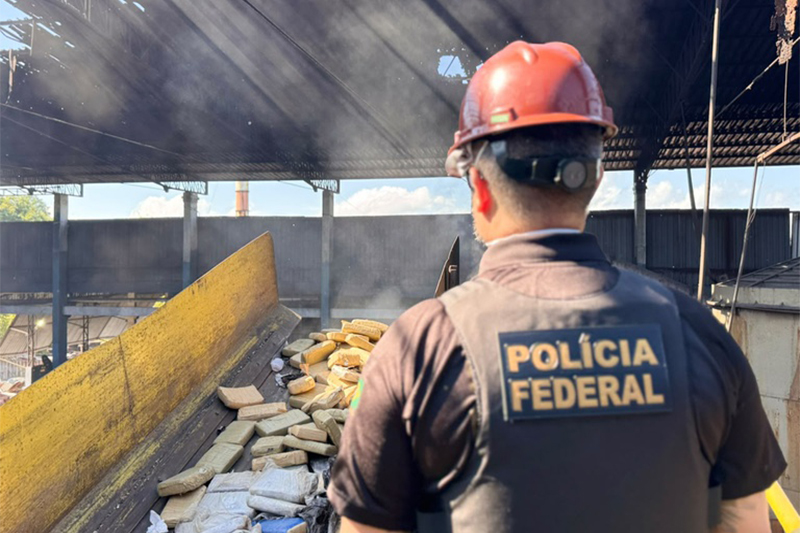 Agente federal acompanha incineração de drogas: combate ao tráfico (Foto: PF/Divulgação)