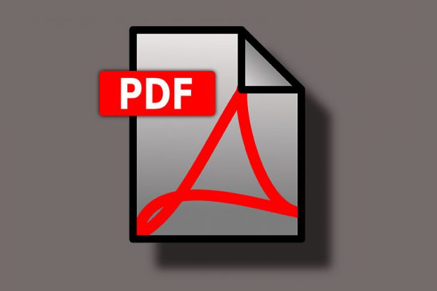 PDF imagem