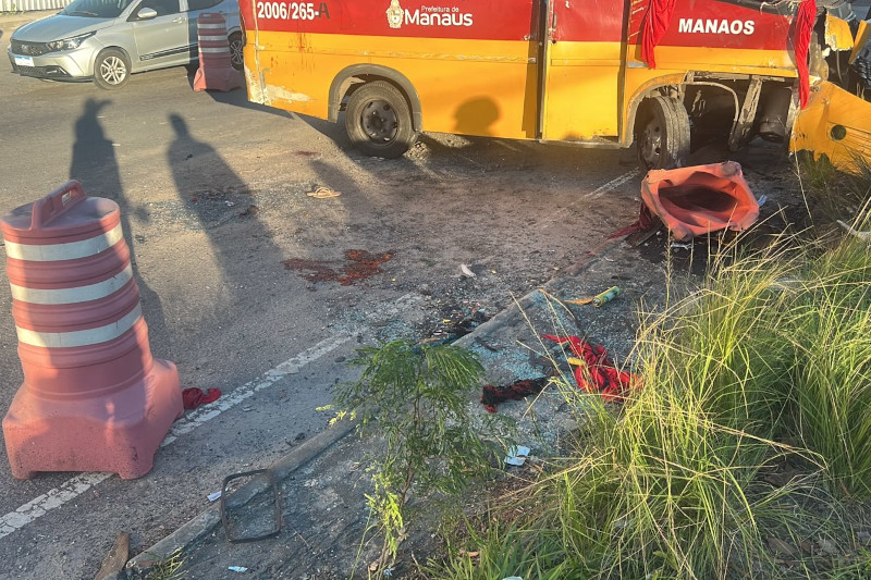 Micro-ônibus parou no canteiro central da avenida (Foto: WhatsApp/Divulgação)