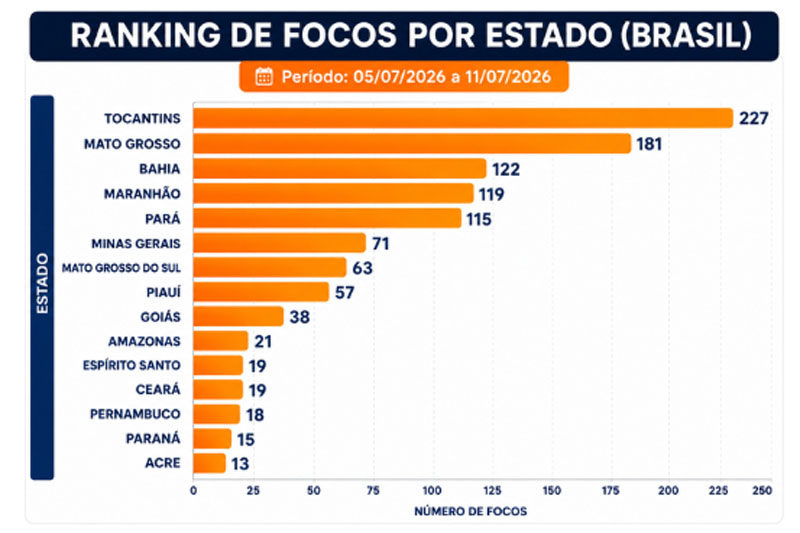 Gráfico sobre focos de calor nos estados