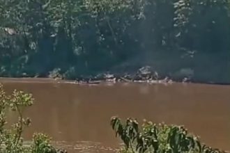 A Funai confirmou a passagem de um grupo de indígenas da etnia Korubo pelo rio Itacoaí, em Atalaia do Norte (a 1.136 km de Manaus) (Foto: Print/vídeo/rede social)