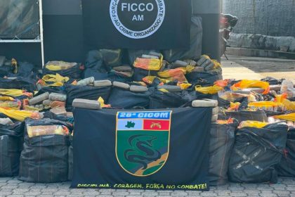 Policiais apreenderam 3,4 toneladas de maconha do tipo skunk no bairro Colônia Antônio Aleixo, na zona leste de Manaus (Foto: Divulgação)