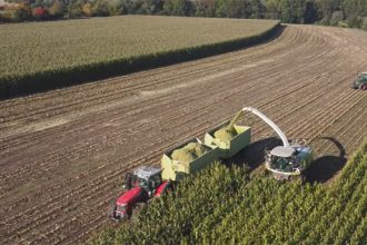 Agricultura: colheita mecanizada aumenta propdutividade em grandes lavouras (Imagem: YouTube/Reprodução)