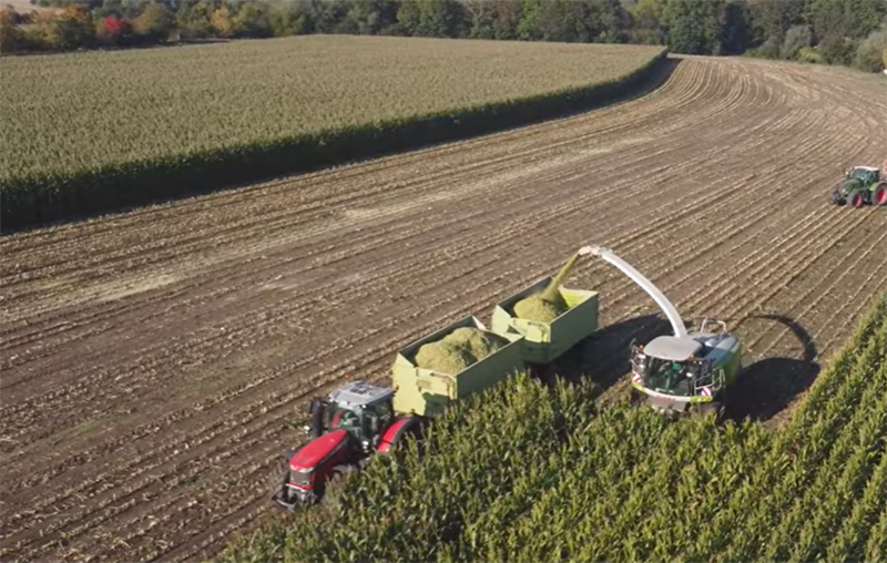 Agricultura: colheita mecanizada aumenta propdutividade em grandes lavouras (Imagem: YouTube/Reprodução)