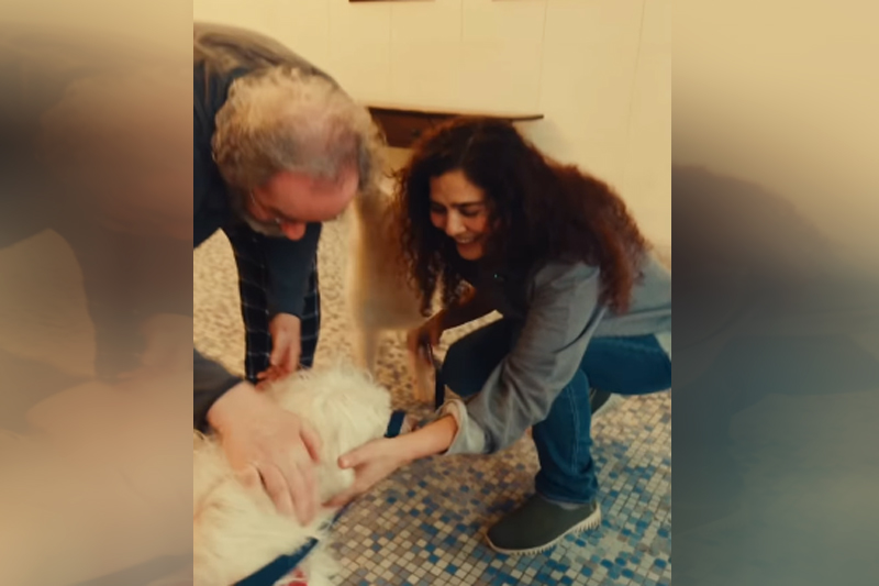 Atriz Letícia Sabatella e o marido, Daniel Dantas, com o cão Bertoldo (Imagem: Instagram/Reprodução)