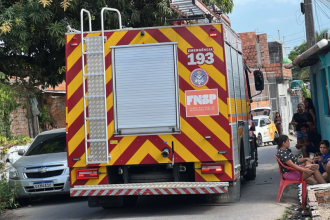 Corpo de Bombeiros fez o controle do fogo (Foto: Divulgação)