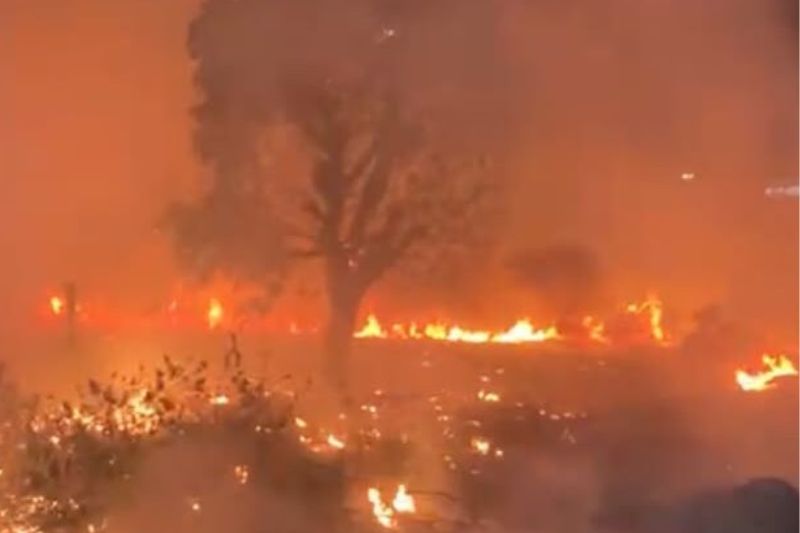 Manaus registrou 1.230 ocorrências de incêndio entre janeiro e 9 de agosto de 2026, segundo o CBMAM (Foto: WhatsApp/reprodução)