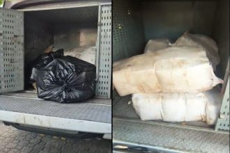 A droga estava dividida em doze sacos de fibra e guardada em uma cova rasa (Foto: Divulgação)