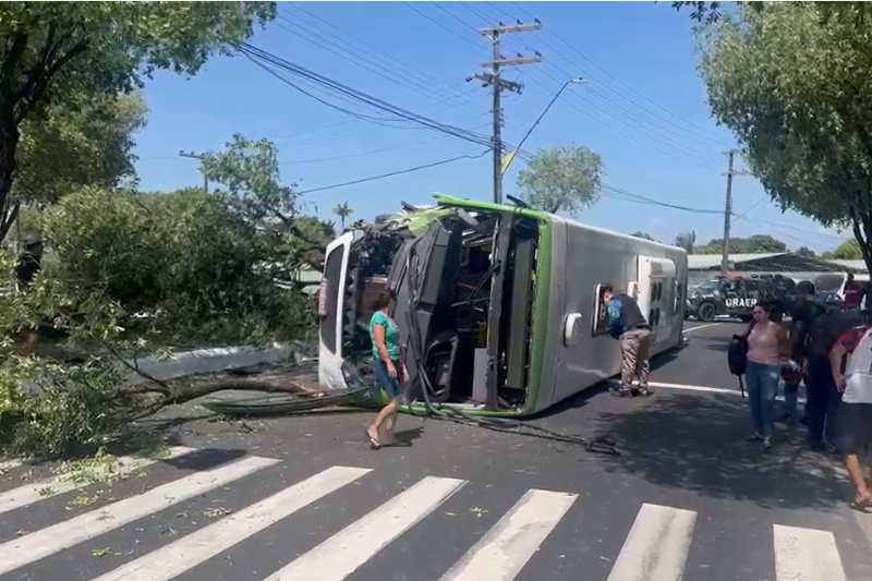 Ônibus capotado (Imagem/reprodução redes sociais)