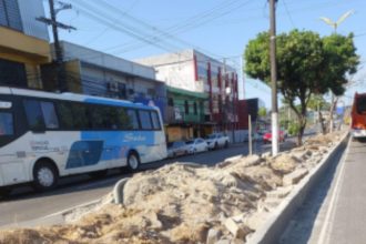 Árvores no canteiro central de avenida foram retiradas (Foto: TCE-AM/Divulgação)